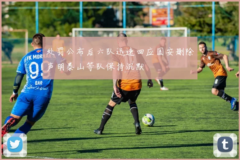 处罚公布后六队迅速回应国安删除声明泰山等队保持沉默