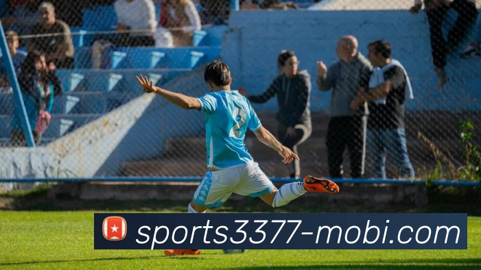 3377体育平台生态图