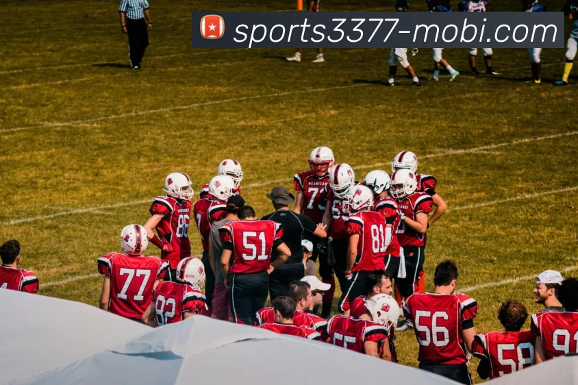 3377体育APP 封面图